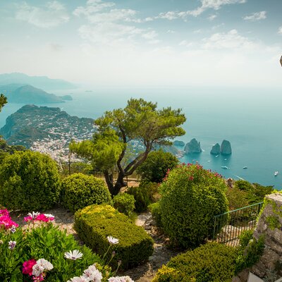 Cioffi Tours