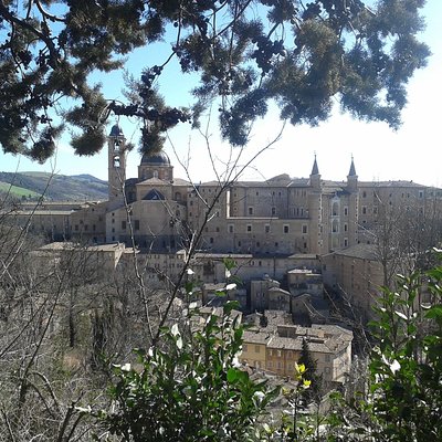 Visit of the Ducal Palace of Urbino