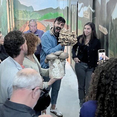 Guided tour and tasting in mushroom cultivation