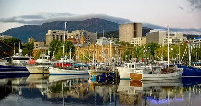 5-Day Tasmania Tour from Hobart Including Cradle Mountain, Bay of Fires and Freycinet National Park