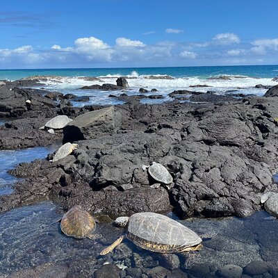 Christian Kealohapauʻoleokeali’iahokulaninuiākea Phillips