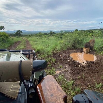 Wild Routes Africa
