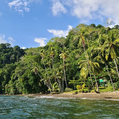 Aventuras Tropicales Golfo Dulce