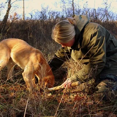 Private Truffle Hunting in Slovenia with meal - Zdenko Tartufi