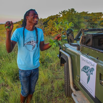 Safari and Surf