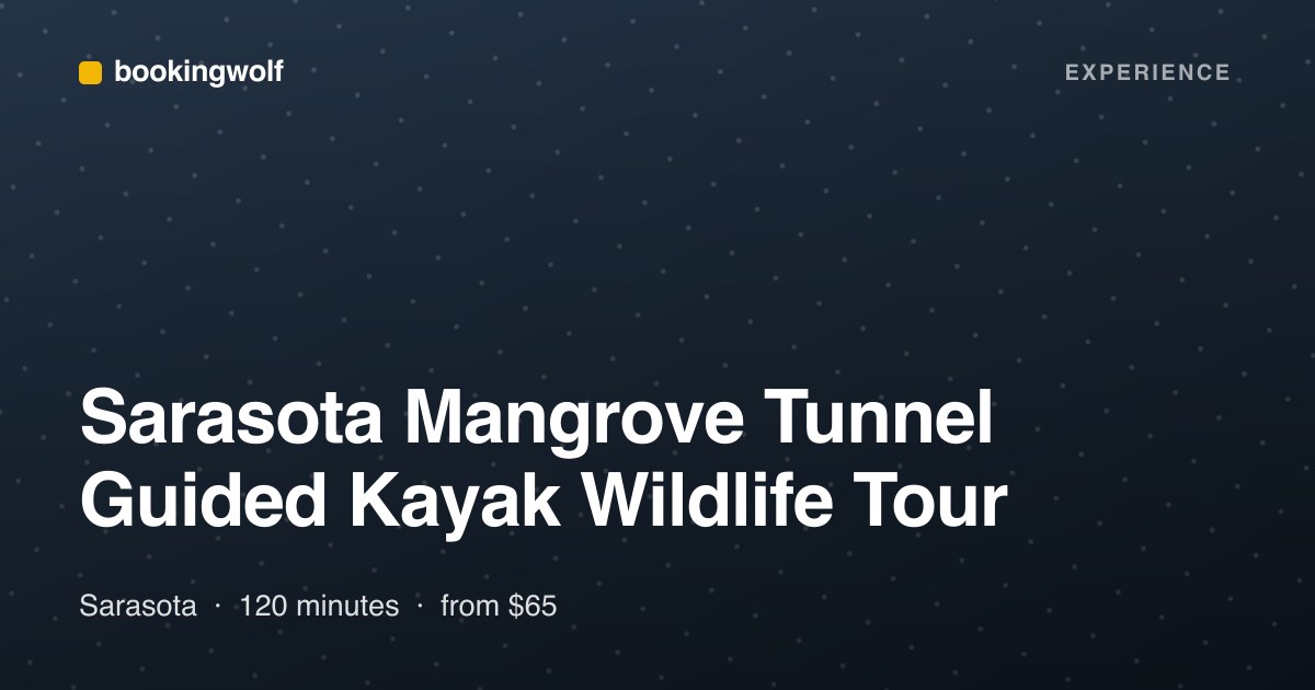 Sarasota Mangrove Tunnel Guided Kayak Wildlife Tour