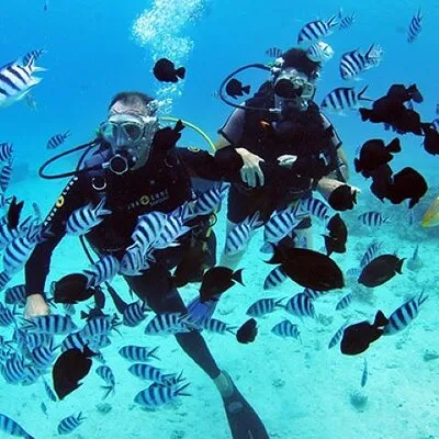 Baptism diving in the turquoise waters of Tahiti