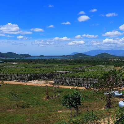 La Plantation tour (discovering Kampot Pepper) + Lunch