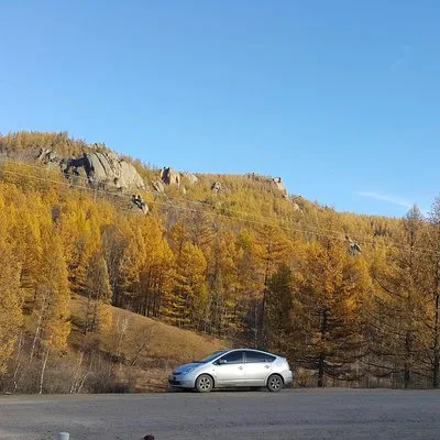 Transfer service to Terelj national park