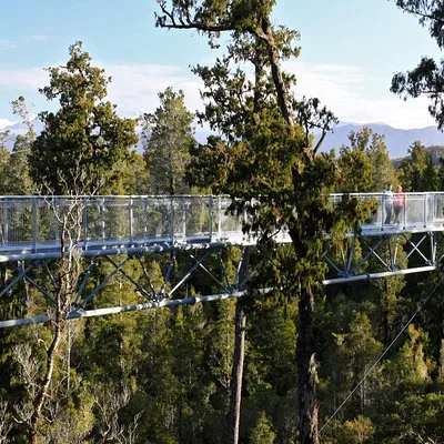 West Coast Treetop Walk