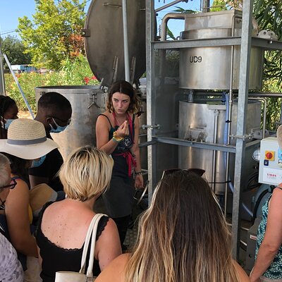 Guided tour Distillery of Lavender between Nîmes & Arles