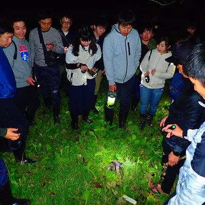 Okinawa Iriomotejima Night Adventure Tour