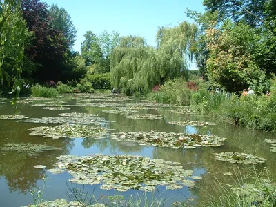 Giverny Small-Group Half-Day with Monet’s Gardens from Paris
