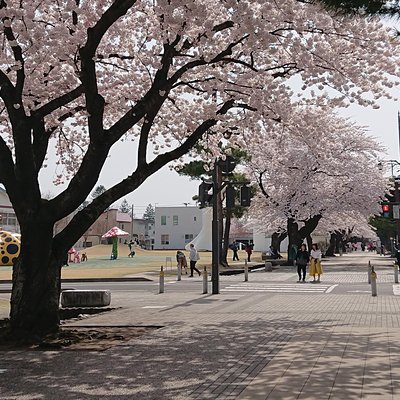 aomori walkingtour by Az&n