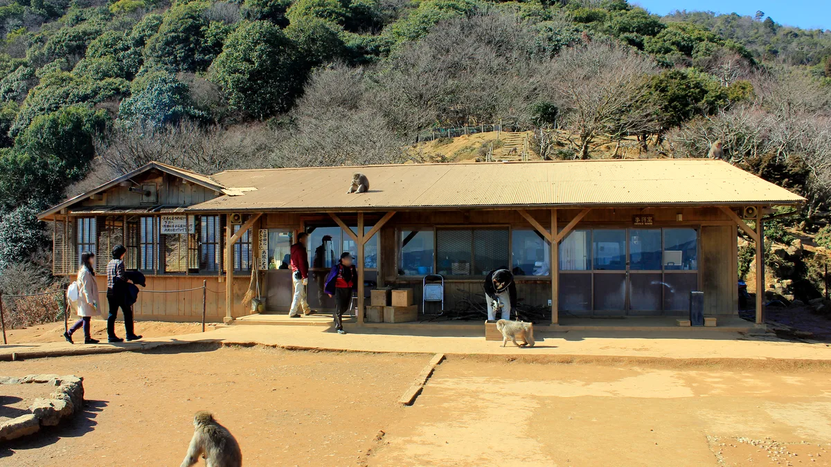 Kyoto Afternoon Bike Tour: Bamboo Forest, Monkey Park Iwatayama & Hidden Spots