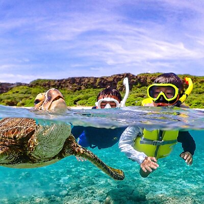 Miyakojima:Snorkeling｜Pick-up OK｜sea turtles & Fish and coral