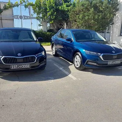 Transfer From Enfidha Airport to Hammamet