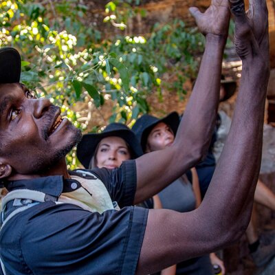 AAT Kings Day Tours (Top End)