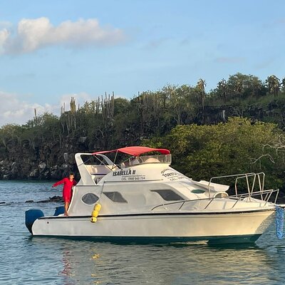 Turtle Bay ferry Isabela ll