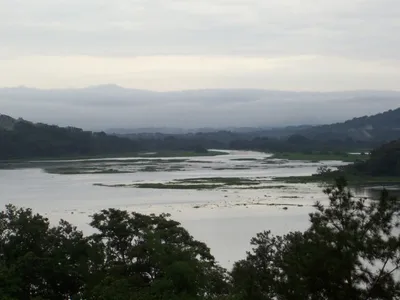 Chagres National Park Waterfall and Embera Village Day Trip with Lunch from Panama City