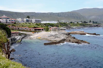 Boat-Based Whale Watching from Hermanus