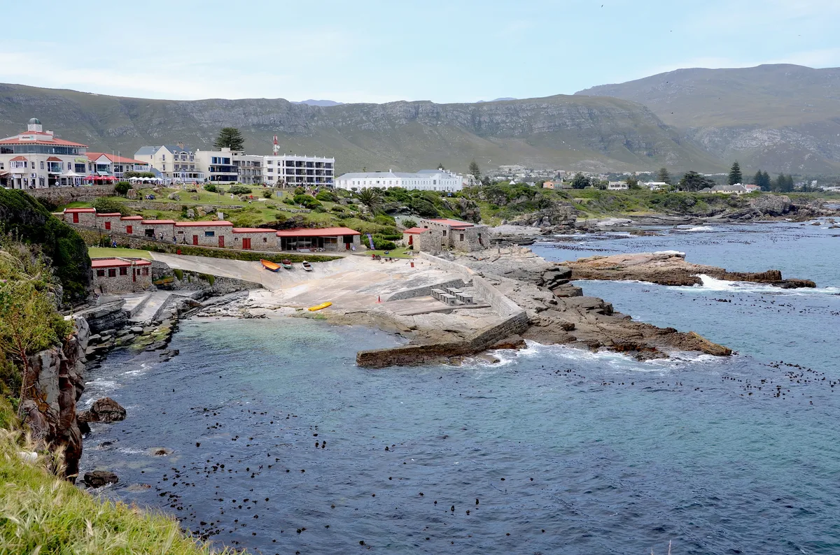 Boat-Based Whale Watching from Hermanus