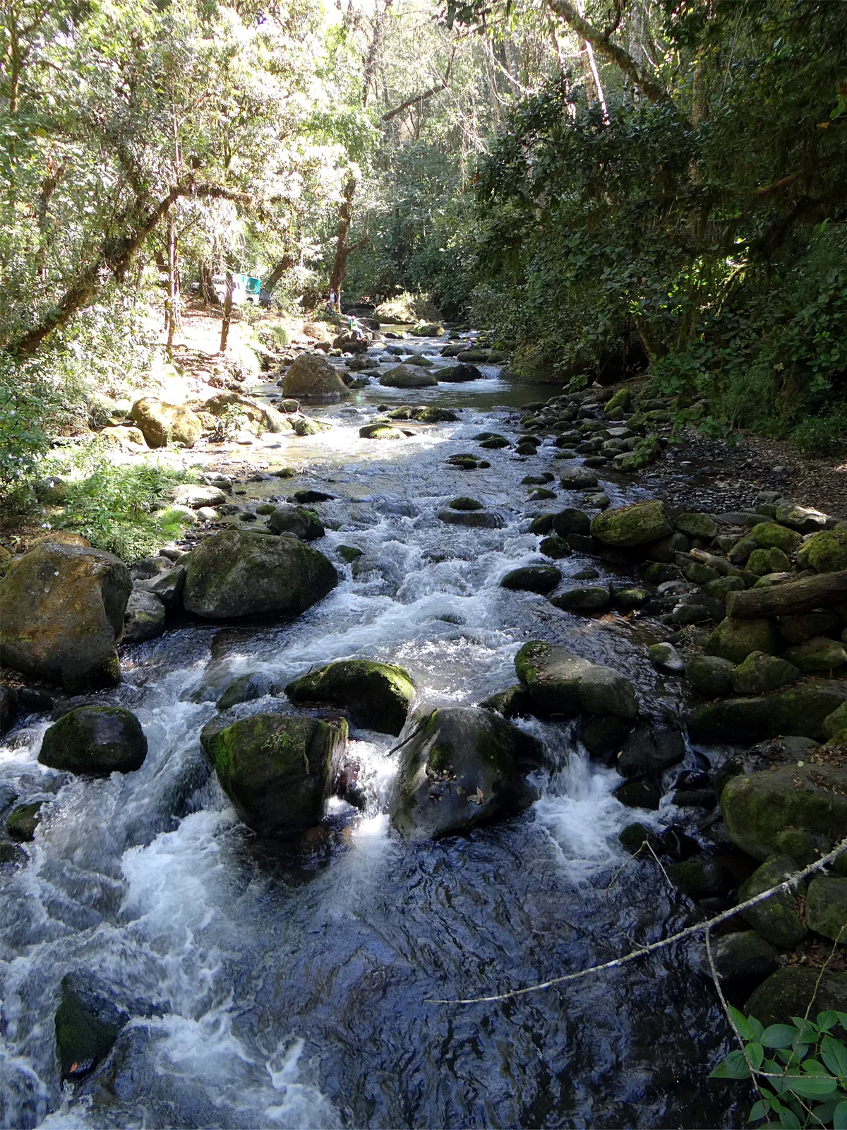 White Water Rafting on Savegre River near Manuel Antonio Quepos