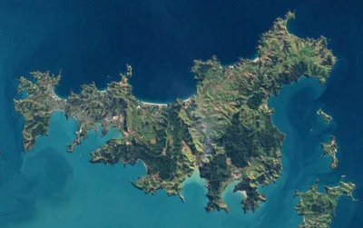 Waiheke Island Hop-On Hop-Off Explorer Bus with Return Ferry Tickets