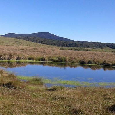 Visit Horton Plains National Park.