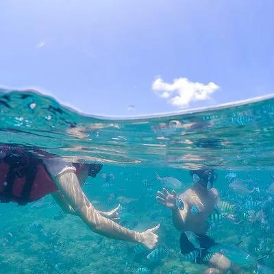 Koh Samui Tour & Transportation