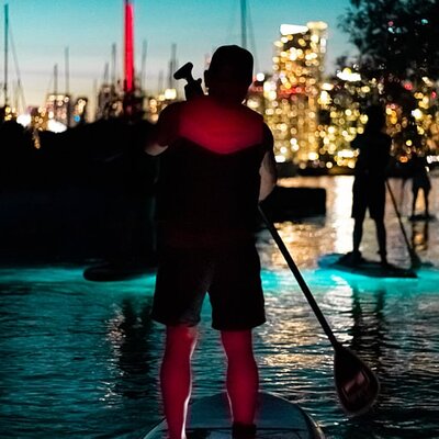 Sunset Safari: Evening SUP/Kayak Tour in Toronto