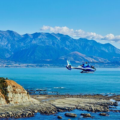 Kaikōura Whale Watching - 1hr 20min Ultimate Adventure