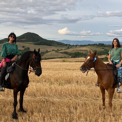 Horseback riding through the vineyards in Montepulciano Tuscany