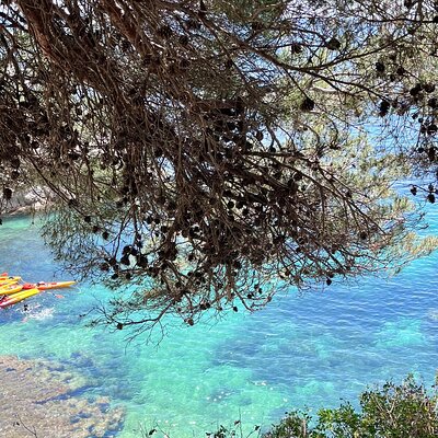 Awaken the Adventure! Kayak at 8am