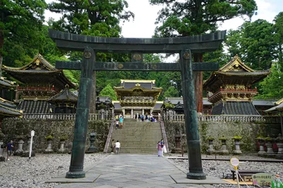 Nikko Full-Day Private Walking Tour with Government-Licensed Guide