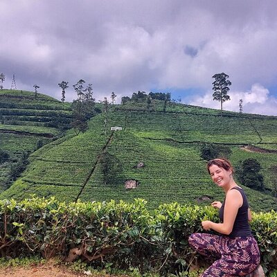 Nuwaraeliya Tours