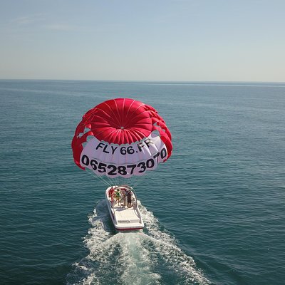 FLY66