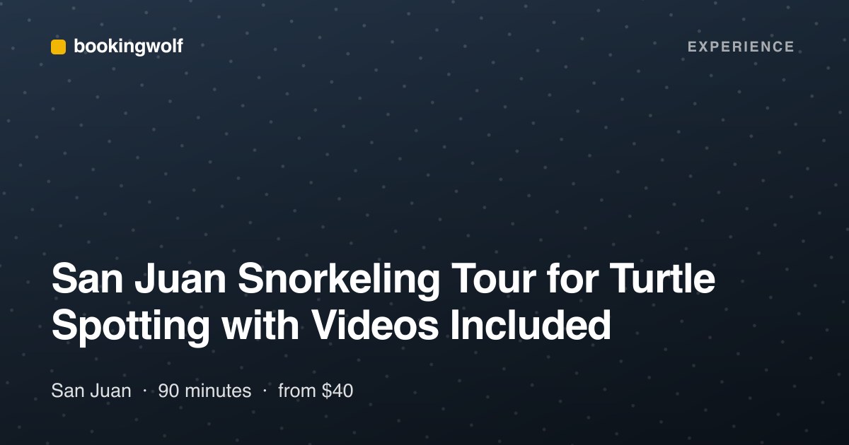 San Juan Snorkeling Tour for Turtle Spotting with Videos Included