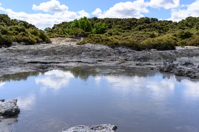 Hell's Gate Geothermal Reserve 2-3 Hour Visit with Mud Bath, Sulphur Spa & Māori Carving in Rotorua