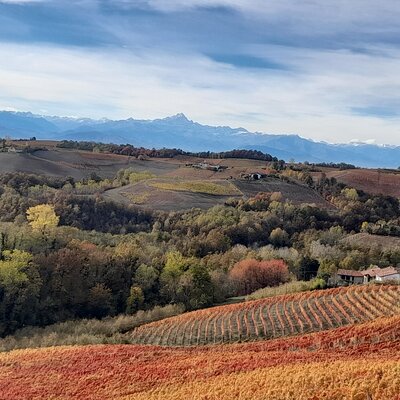 Wine and Typical Product Tasting Tour