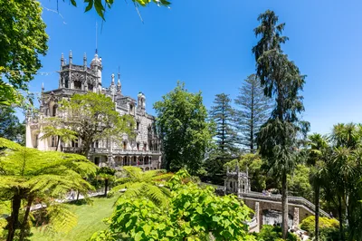 Lisbon Day Trip: Sintra, Quinta da Regaleira, Pena Palace and Cabo da Roca with All Tickets Included