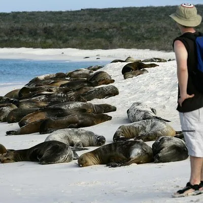 Galapagos Natural Life - Galapagos Last Minute