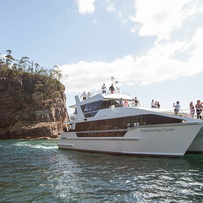 Hobart River Derwent Guided Cruise Tour