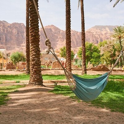 AlUla Oasis Heritage Trail Guided Walking Tour