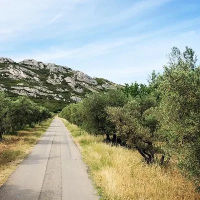 Safaris Camargue Alpilles