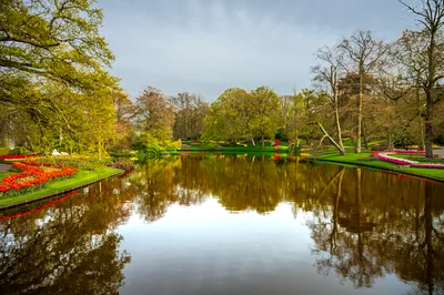 Keukenhof Tulips, Zaanse Schans Windmills and Cheese Small-Group Day Trip from Amsterdam