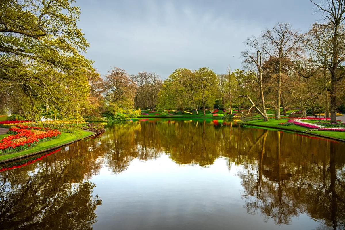 Keukenhof Tulips, Zaanse Schans Windmills and Cheese Small-Group Day Trip from Amsterdam