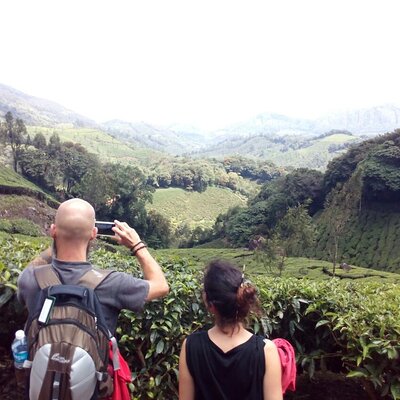 Munnar Tea Plantation Evening walking with Sunset View