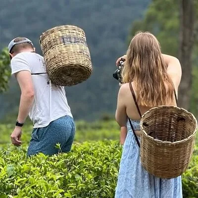 Tuk Tuk Nuwara Eliya Adventure Tours