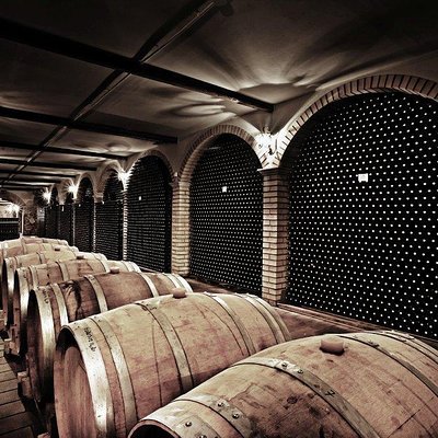 Bosco Nestore & C. srl